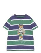 Polo Bear Striped Cotton Jersey Tee Tops T-Kortærmet Skjorte Multi/pat...