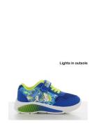 Sonic Sneakers Low-top Sneakers Blue Sonic