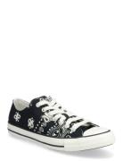 Chuck Taylor All Star Sport Women Sport Shoes Sport Sneakers Sport Low...