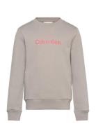 Inst. Logo Regular Cn Tops T-shirts Long-sleeved T-Skjorte Beige Calvi...