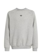 Loose Crew Tops Sweatshirts & Hoodies Sweatshirts Grey Adidas Original...