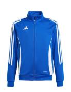 Tiro24 Trjkty Sport Sweatshirts & Hoodies Sweatshirts Blue Adidas Perf...