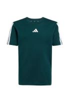 J 3S Tee 160 Tops T-Kortærmet Skjorte Green Adidas Sportswear