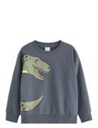 Sweatshirt Dino Placement Tops Sweatshirts & Hoodies Sweatshirts Grey ...