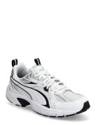 Milenio Tech_ Sport Women Sport Shoes Sport Sneakers Sport Low Top Sne...