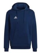 Ent22 Hoody Tops Sweatshirts & Hoodies Hoodies Navy Adidas Performance