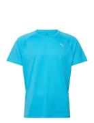 M Run Velocity Tee  Sport Men Sports Clothes Sport Tops Sport T-Skjort...