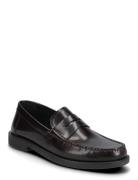 U Recanati B Loafers Flade Sko Brown GEOX