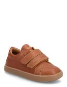 Södertälje Shoes Baby Booties Brown Kavat