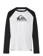 Ev Omni Logo Raglan Ls Yth Tops T-shirts Long-sleeved T-Skjorte Grey Q...