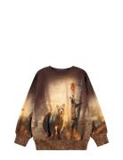 Mattis Tops Sweatshirts & Hoodies Sweatshirts Brown Molo