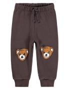 Simeon Bottoms Sweatpants Brown Molo