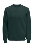 Onsceres Crew Neck Noos Tops Sweatshirts & Hoodies Sweatshirts Khaki G...