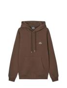 Standard Hoodie Logo Sweat Fav Tops Sweatshirts & Hoodies Hoodies Brow...
