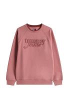 Tjw Rlx Script Crew Ext Tops Sweatshirts & Hoodies Sweatshirts Pink To...