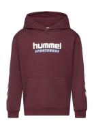 Hmljr Logo Hoodie Sport Sweatshirts & Hoodies Hoodies Burgundy Hummel