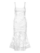 Marico Lace Midi Dress Dresses Lace Dresses White Bardot
