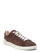 Suede-Hrt Crt Ii-Sk-Ltl Low-top Sneakers Brown Polo Ralph Lauren