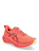 Novablast 5 Sport Sport Shoes Sport Running Shoes  Asics