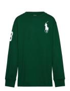 Big Pony Cotton Jersey Tee Tops T-shirts Long-sleeved T-Skjorte Green ...