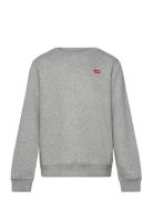 Fw-Crew Tops Sweatshirts & Hoodies Sweatshirts Grey Levi's