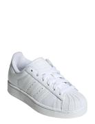 Superstar Ii J Low-top Sneakers White Adidas Originals
