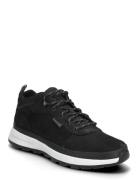 Low Lace Up Sneaker Low-top Sneakers Black Timberland