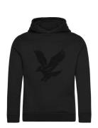 Towelling Eagle Pullover Hoodie Tops Sweatshirts & Hoodies Hoodies Bla...