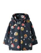 Nmmmax Pawpatrol Jacket Cplg Foret Jakke Navy Name It