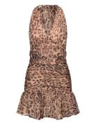 Mave Halter Neck Mini Dress Kort Kjole Beige Bardot
