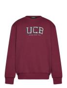 Sweater L/S Tops Sweatshirts & Hoodies Sweatshirts Burgundy United Col...
