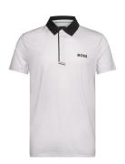 Pl_Paddytech Goc Sport Men Sport Clothing Sport Tops Sport Polos Sport...
