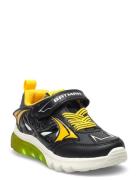J Ciberdron Boy C Low-top Sneakers Black GEOX