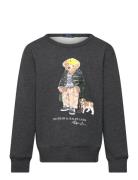 Polo Bear Heathered Fleece Sweatshirt Tops Sweatshirts & Hoodies Sweat...