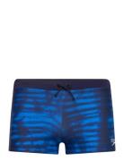 Mens Valmilton Aquashort Sport Shorts Blue Speedo