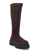 Chipp Lange Støvler Brown Steve Madden