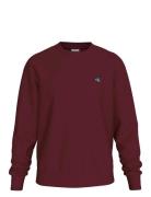 Ls Eu 350Terry Badge Cn Swtshrt Tops Sweatshirts & Hoodies Sweatshirts...