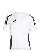 Tiro24 Jsyy Sport T-Kortærmet Skjorte White Adidas Performance