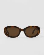 Corlin Eyewear - Brun - Carpi