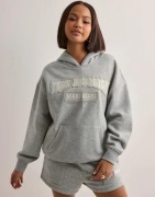 True Religion - Grå - Patched Tr Bf Hoodie