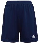 adidas Performance Shorts - ENTRADA 22 - BlÃ¥