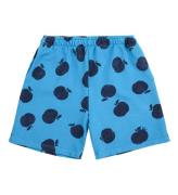 Bobo Choses Shorts - Bermuda - Blue