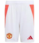 adidas Performance Shorts - Mufc H Sho Y - Hvid