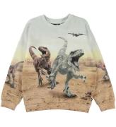 Molo Sweatshirt - Miksi - Dinos Galore