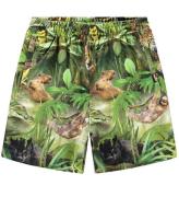 Molo Shorts - Amil - Jungle Animals